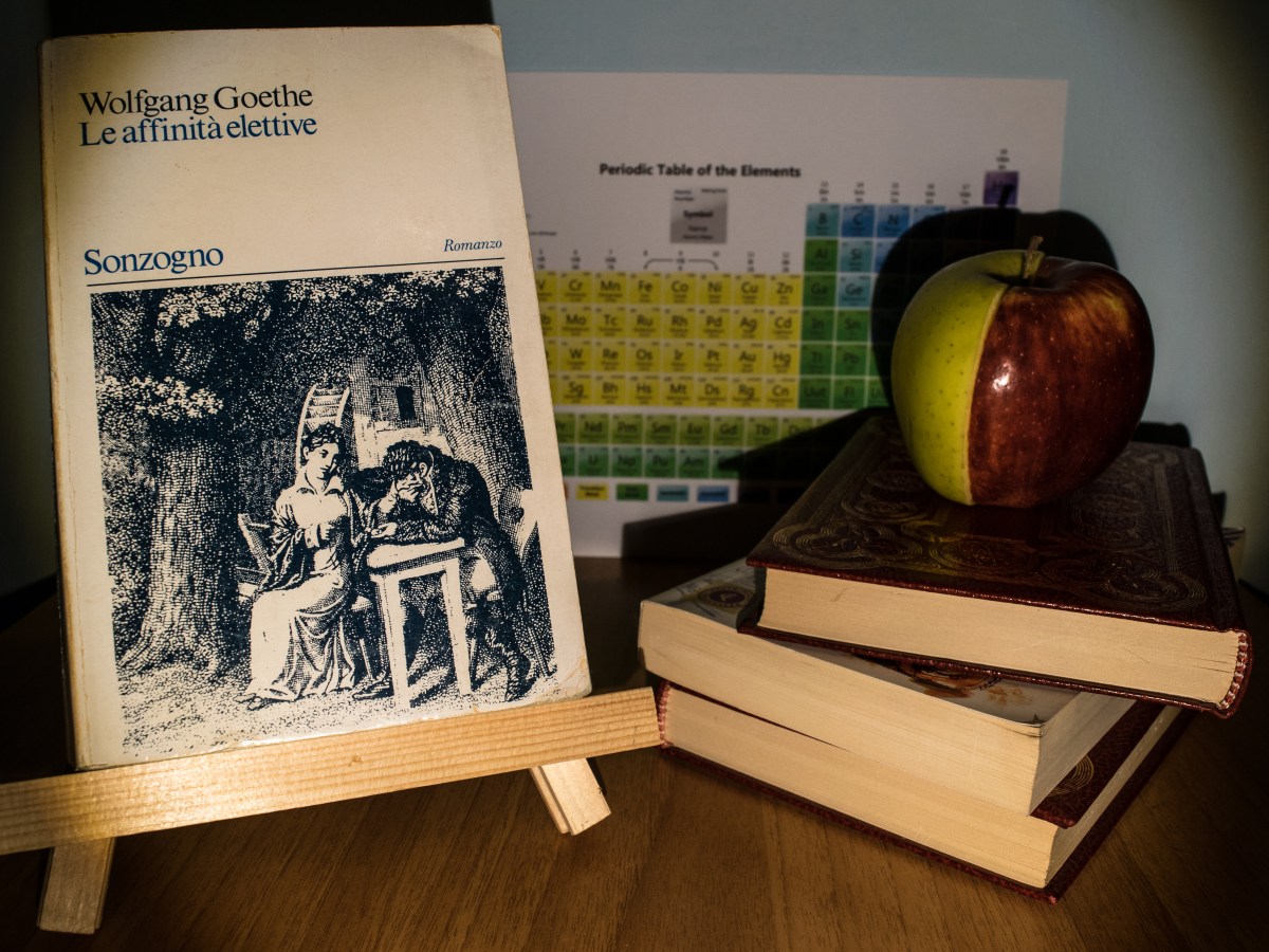 Un matrimonio (e un uomo) al&nbsp;microscopio.