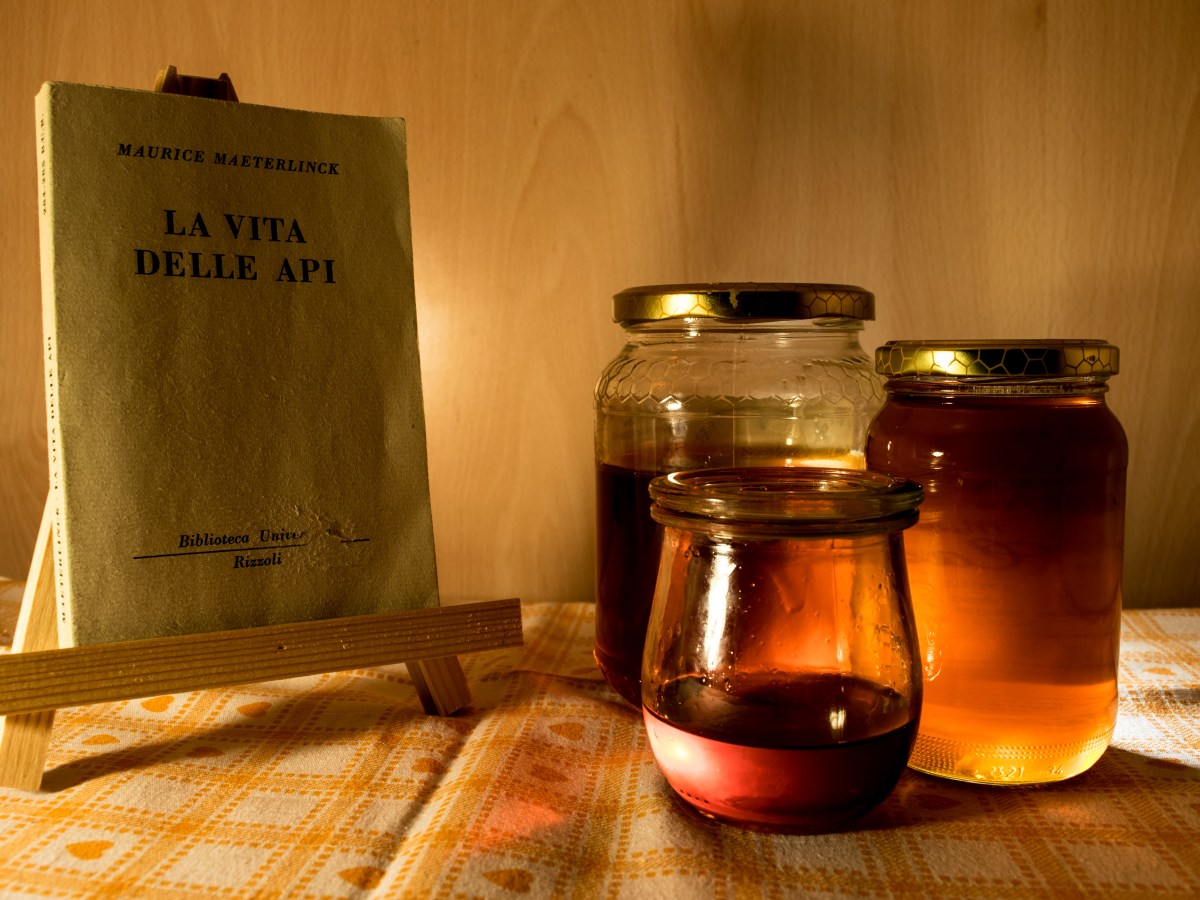 Imparare dalle api con Maeterlinck: un viaggio nella poesia dell’alveare.