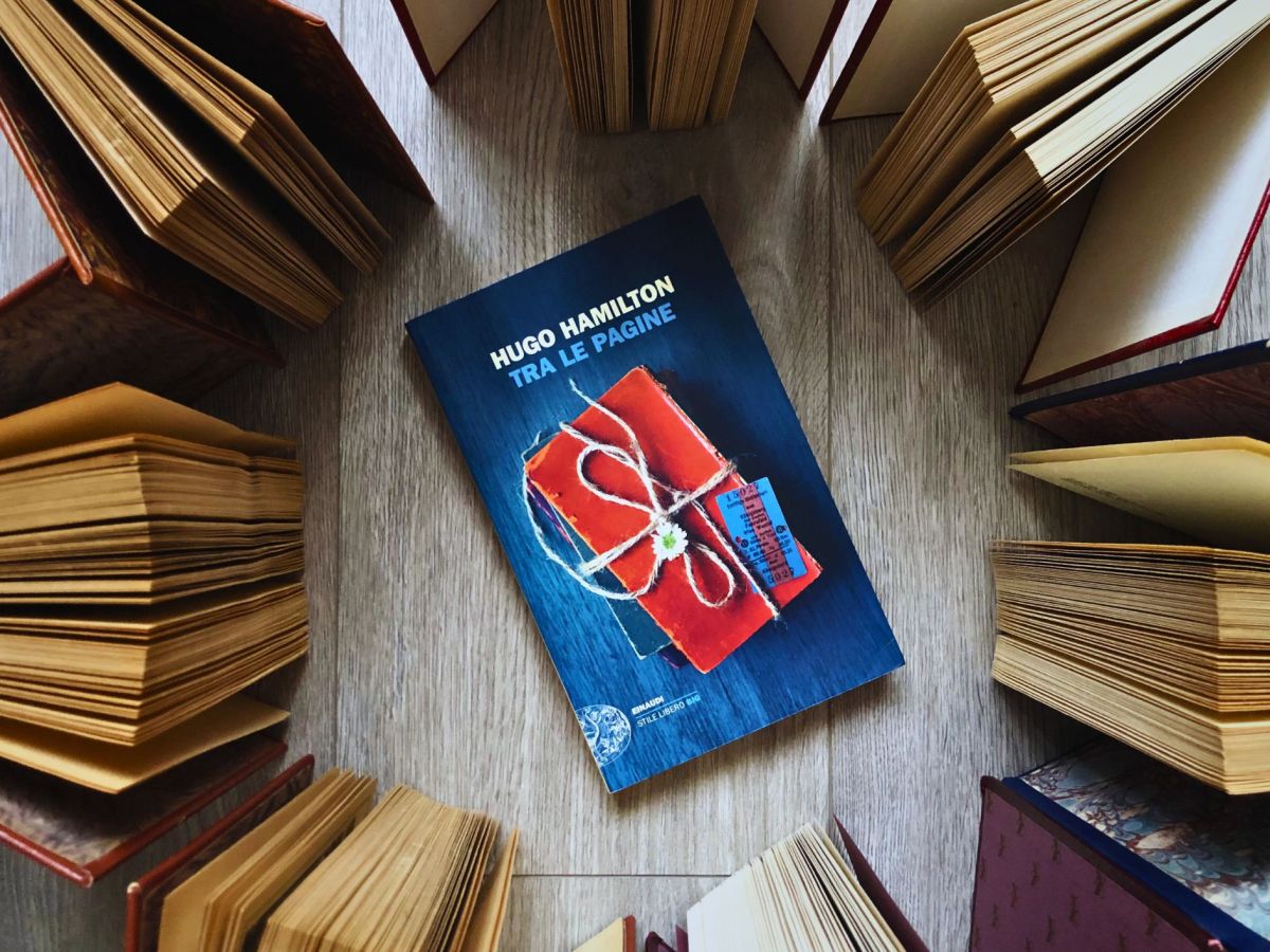 Ciò che un libro può&nbsp;nascondere