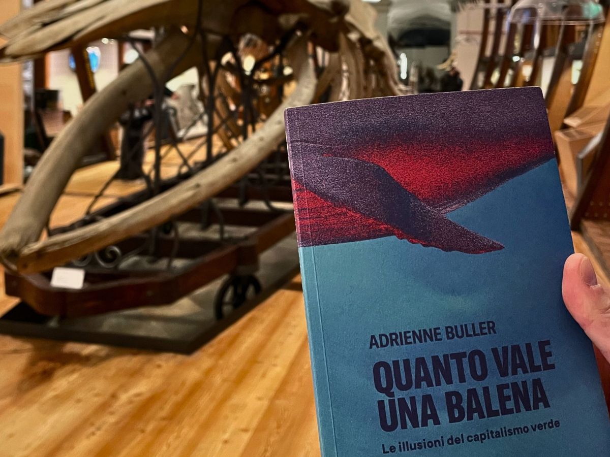 Sfide e illusioni della finanza&nbsp;green