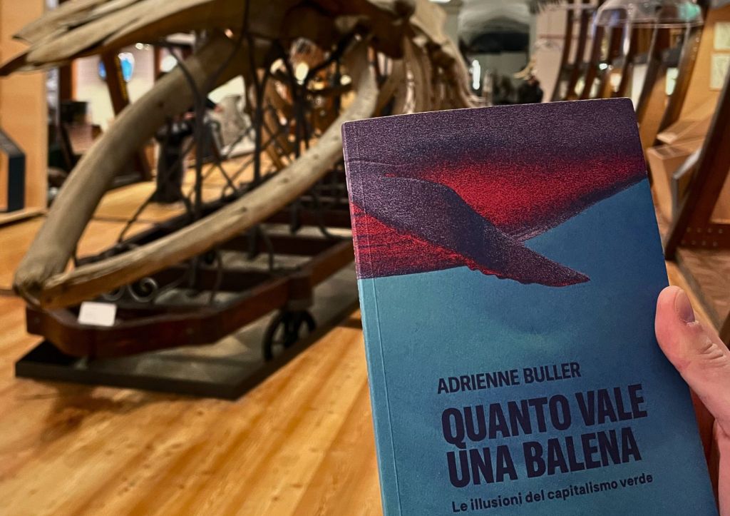 Sfide e illusioni della finanza&nbsp;green